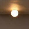 dioscuri artemide lampada a parete o soffitto vetro soffiato