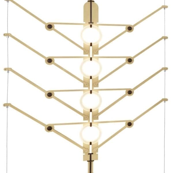 DCW Edition VVV MODULE - oro