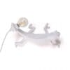 Chameleon Lamp Going Down USB
