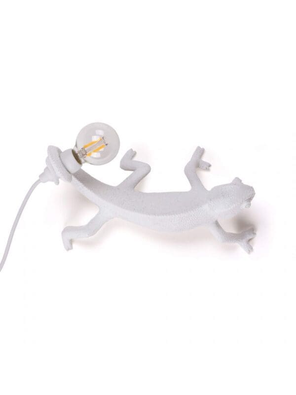 Chameleon Lamp Going Down USB