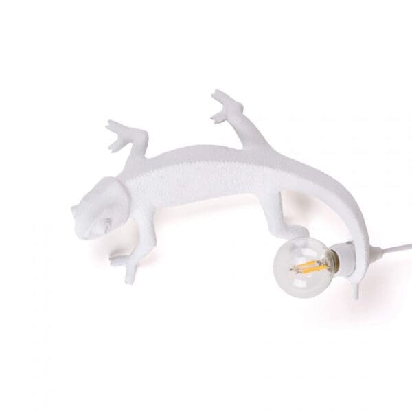 Chameleon Lamp Still USB