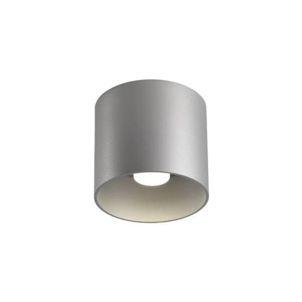 Wever e Ducrè RAY soffitto 1.0 - LED 2700K - alluminio spazzolato