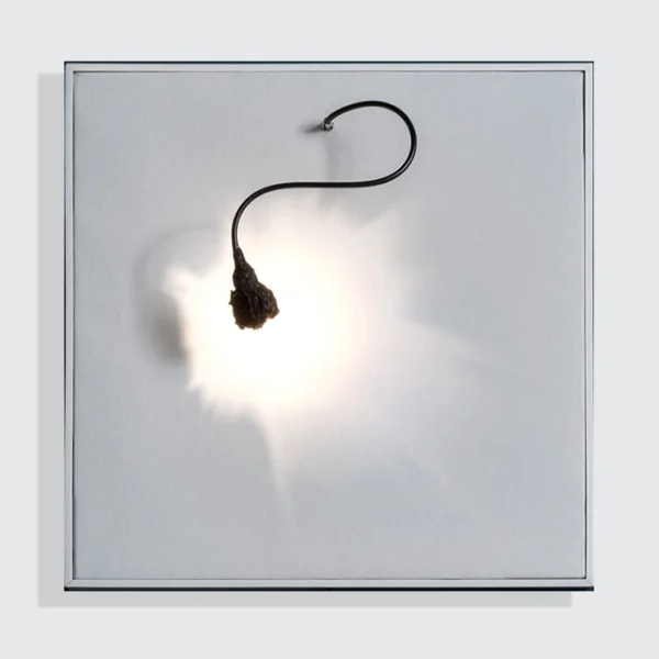 Catellani & Smith LUCE CHE DIPINGE - parete - tela bianca, tubo nero, schermo avvolgente nero