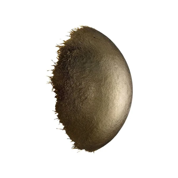 Catellani & Smith POSTKRISI CW 70  - wall or ceiling - golden leaf