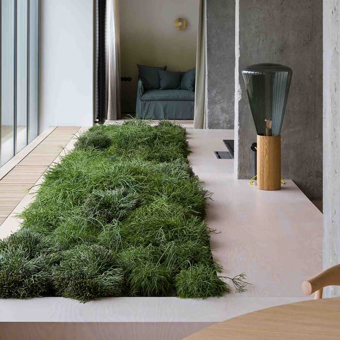 BROKIS MUFFINS wood 04 - terra - vetro grigio fumo - base quercia europea - immagine 2