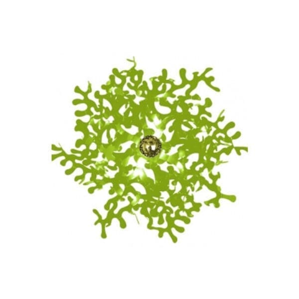 LUMEN CENTER LEAVES 21 - chartreuse green