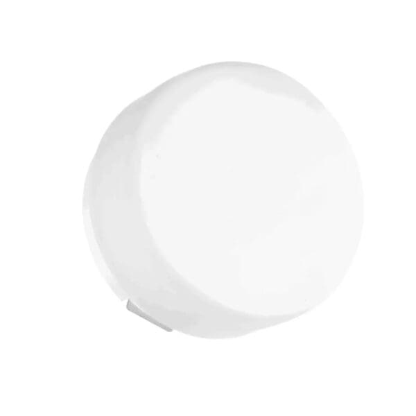 Decorative CHOBIN65 2W - white