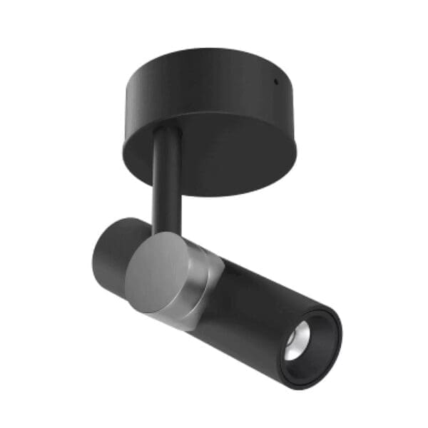 Decorative GOOSE Medium Wide Flood 3000k - black and nickel