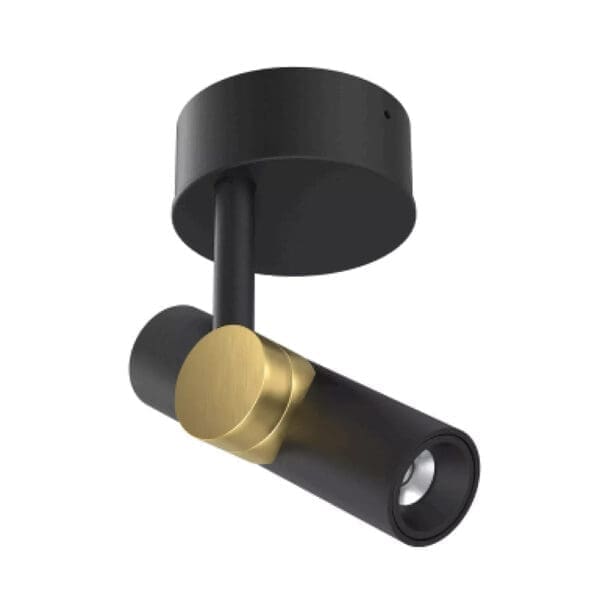 Decorative GOOSE Medium Wide Flood 2700k - black and gold