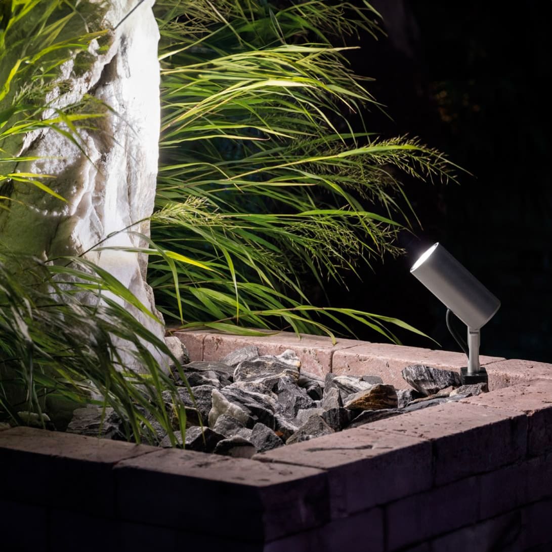 Proiettore Ago di Lombardo illumina un albero ad alto fusto