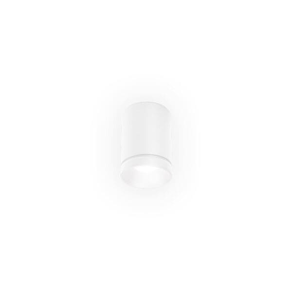Wever e Ducrè TAIO ROUND IP65 SURFACE 1.0 - 2700K - bianco satinato