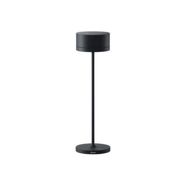 iGuzzini WHISPER - black