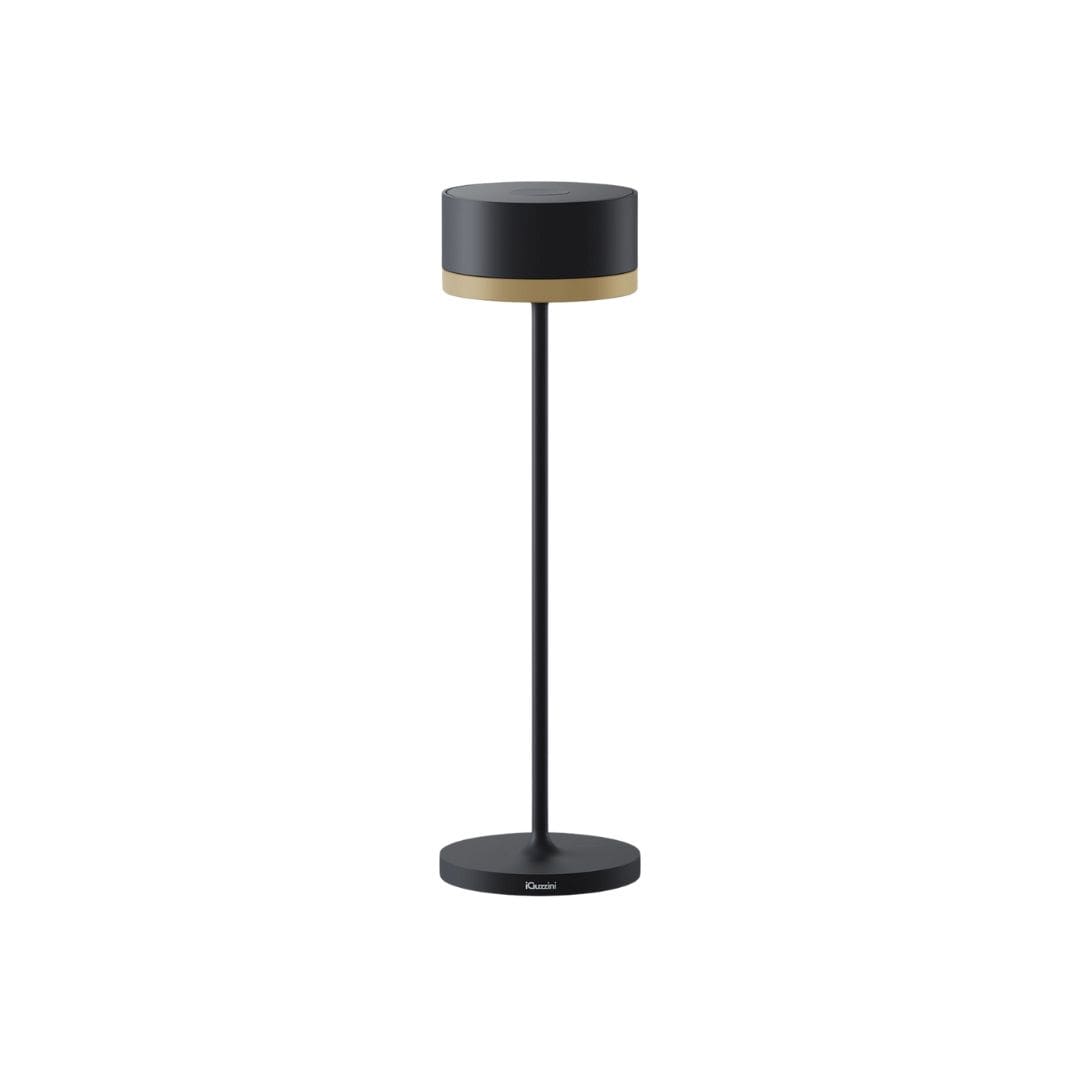 iGuzzini WHISPER - nero e champagne