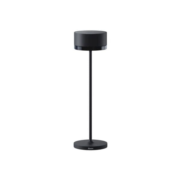 iGuzzini WHISPER - black and ceramic