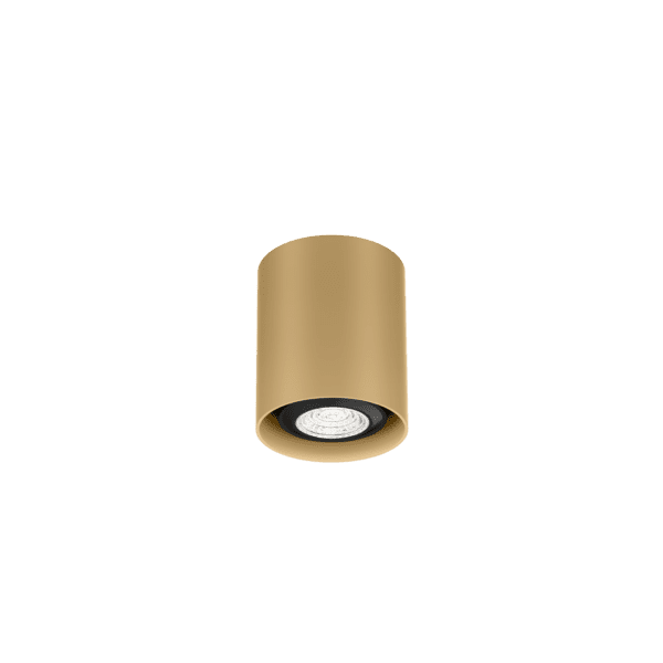 Wever e Ducrè - Ray Mini Ceiling Surf 1.0 PAR16 Champagne