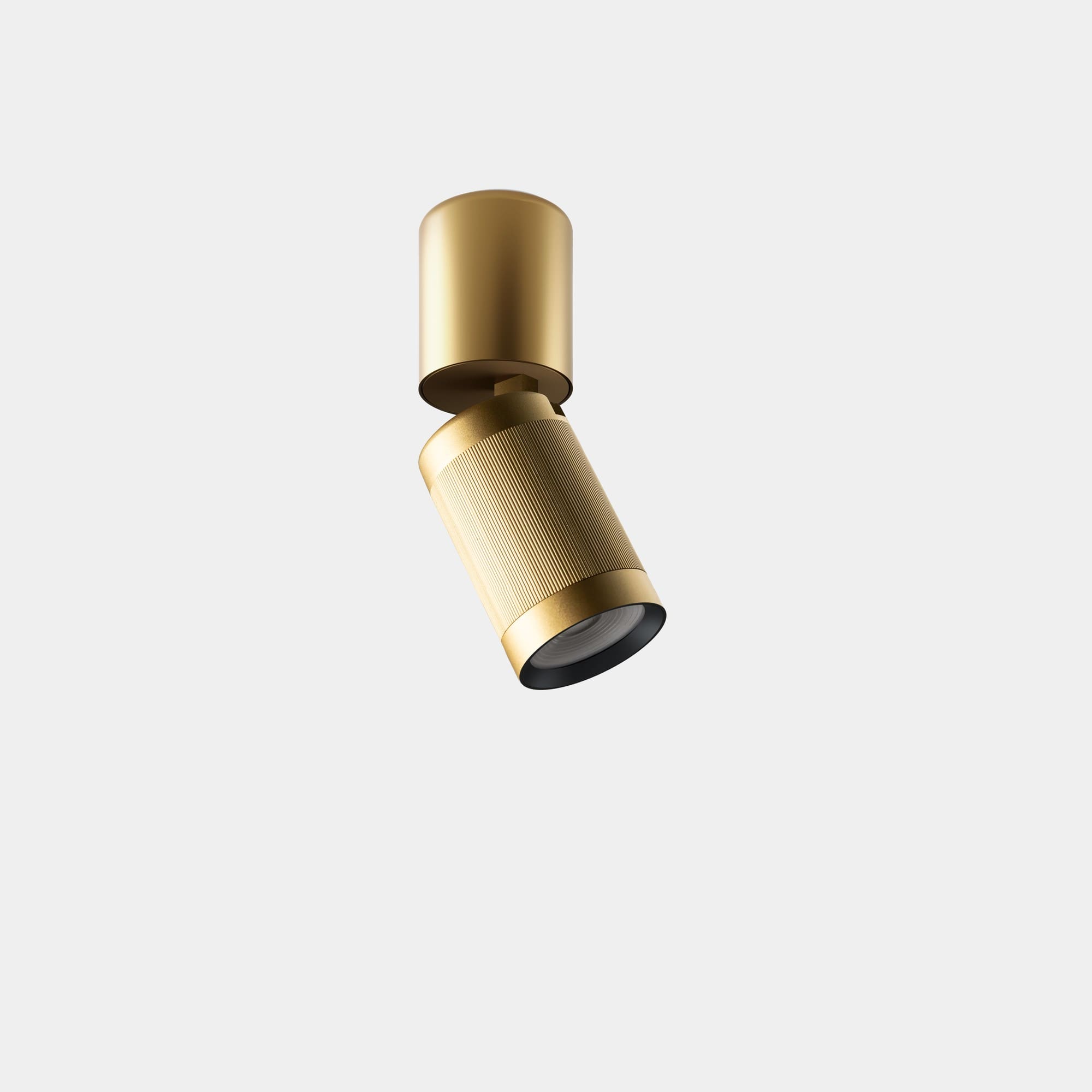 LEDS C4 - Plafoniera Iris Surface Hoop 50º - Oro