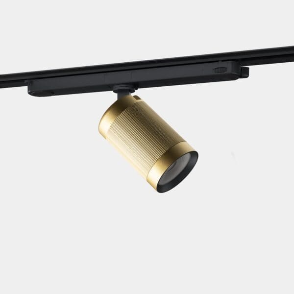 LEDS C4 - Faretto Iris Trifasic Hoop 35º - Nero