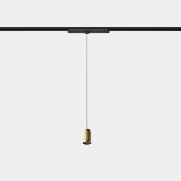 LEDS C4 - Lampada a sospensione Iris Track Hoop 15º - Nero