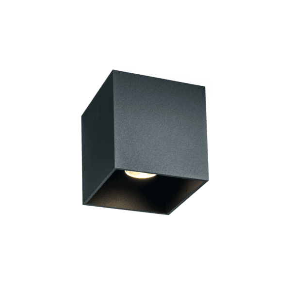 Wever & Ducrè - Box Outdoor Ceiling Surf 1.0 LED 3000K - Grigio