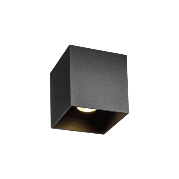 Wever & Ducrè - Box Outdoor Ceiling Surf 1.0 LED 2000-3000K - Nero