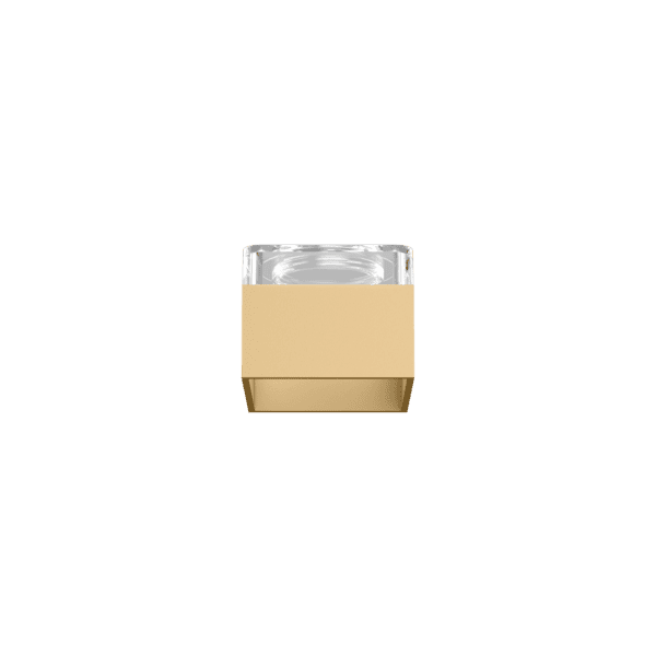 Wever & Ducrè - Box Inner Cover - Champagne