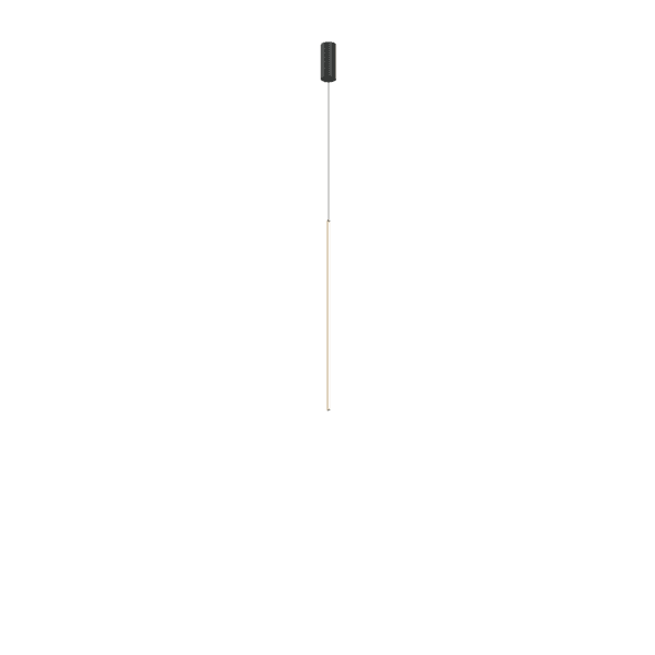 Wever & Ducrè - Finlin Ceiling Susp 1.0 LED 2700K Ch 2.5m Cable - Nero