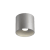 Wever & Ducrè - Ray Ceiling Surf 1.0 LED 2000-3000K - Argento