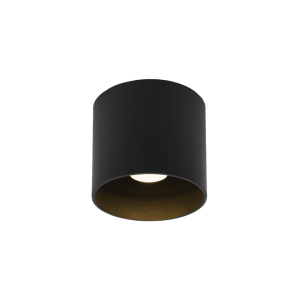 Wever & Ducrè - Ray Outdoor Ceiling Surf 1.0 LED 2700K - Nero