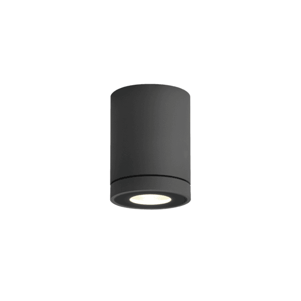 Wever & Ducrè - Tube Outdoor Ceiling Surf 1.0 LED 3000K - Grigio